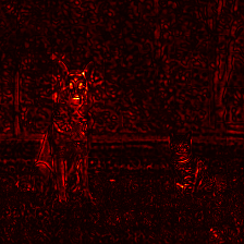 Gamma overlay for DINOv1 ViT-B/16