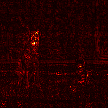 Gamma overlay for DINOv3 ViT-B/16