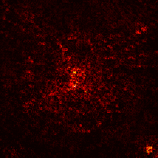 CLIP ConvNeXt · LRP without the watermark cell heatmap